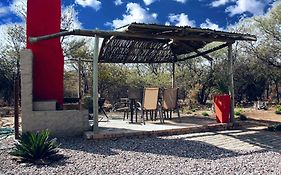 Bush Inn Lodge Lephalale